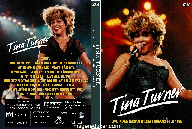 TINA TURNER Live In Amsterdam Wildest Dreams Tour 1996.jpg